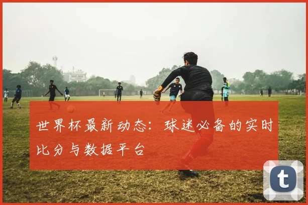 世界杯最新动态：球迷必备的实时比分与数据平台