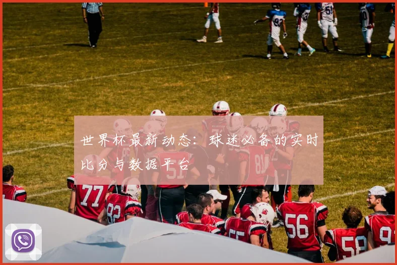世界杯最新动态：球迷必备的实时比分与数据平台
